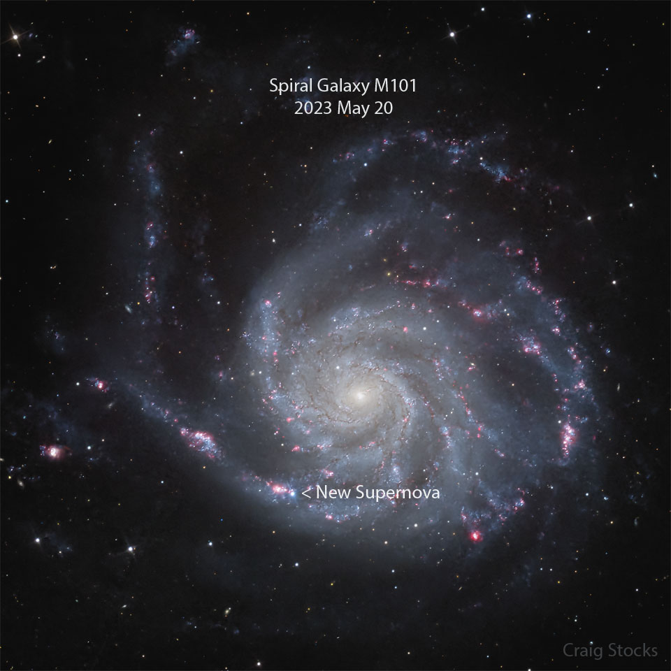 Imagen de la galaxia espiral del Molinete (Pinwheel, M101). En uno de sus brazos espirales se indica la aparición de la supernova.
